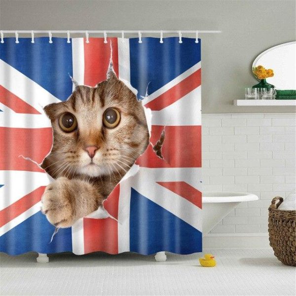 rideau de douche chat anglais